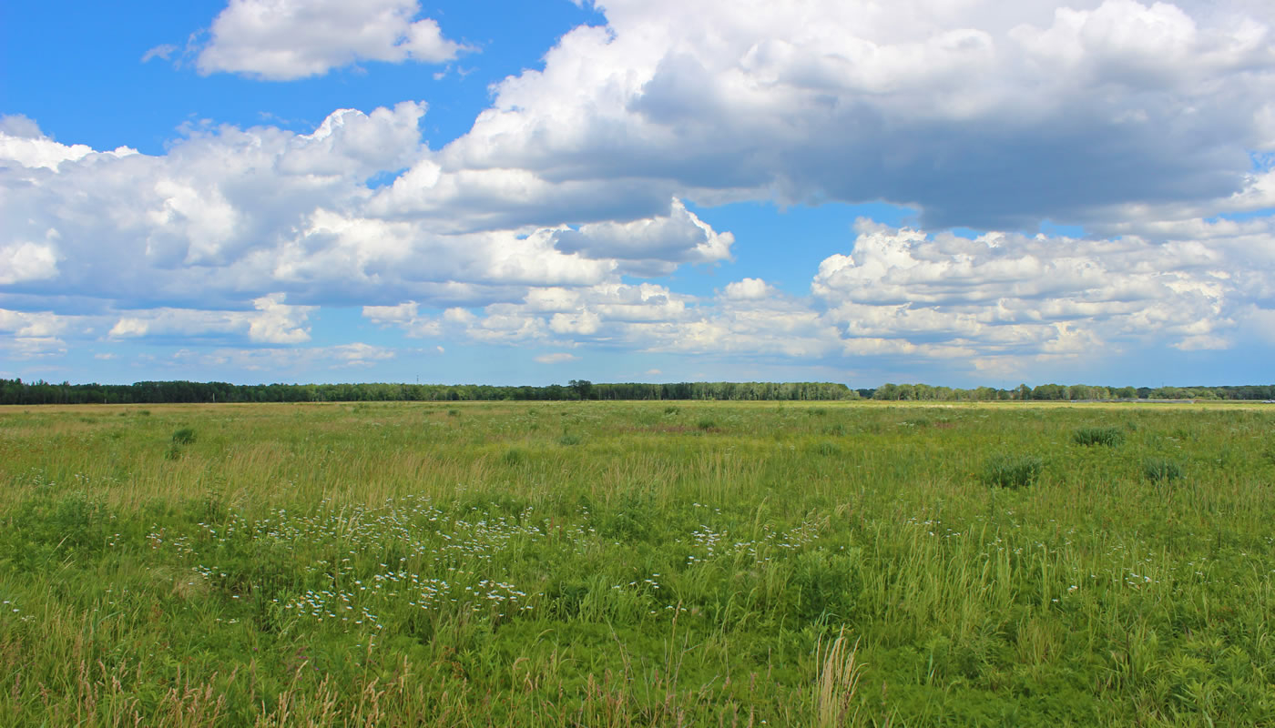 Bobolink Meadow Designated Illinois Land Water Reserve Forest Bobolink Meadow Designated Illinois Land Water Reserve Forest