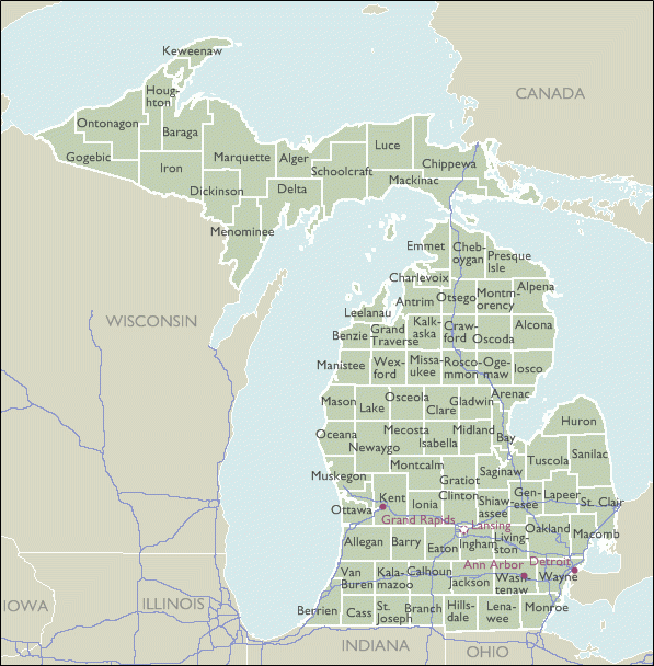 County 5 Digit Zip Code Maps Of Michigan ZIPCodeMaps