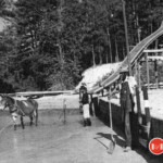 OLD CURRY LAKE PHOTO ALBUM Laurens County